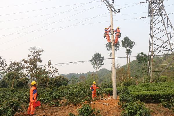 Coi trọng đảm bảo an toàn hành lang lưới điện